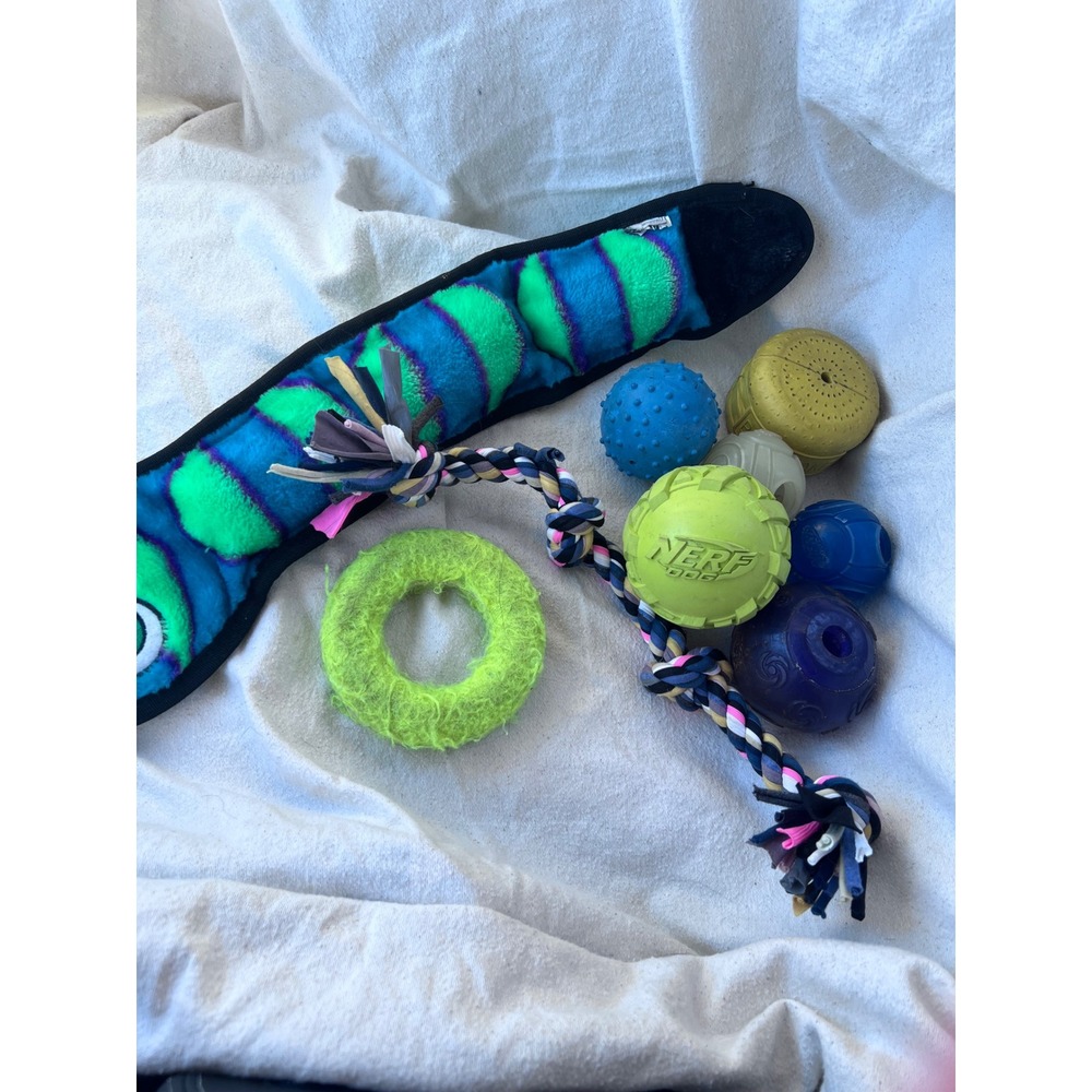 Active Pet Dog Nerf Bullymake Toy Bundle OS Multicolor